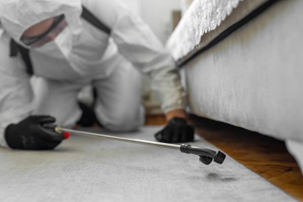 Professional Mosquito Control technician working in Piru, CA