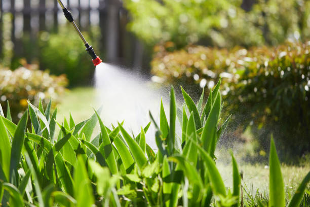 24/7 Emergency Mosquito Control experts in Piru, CA
